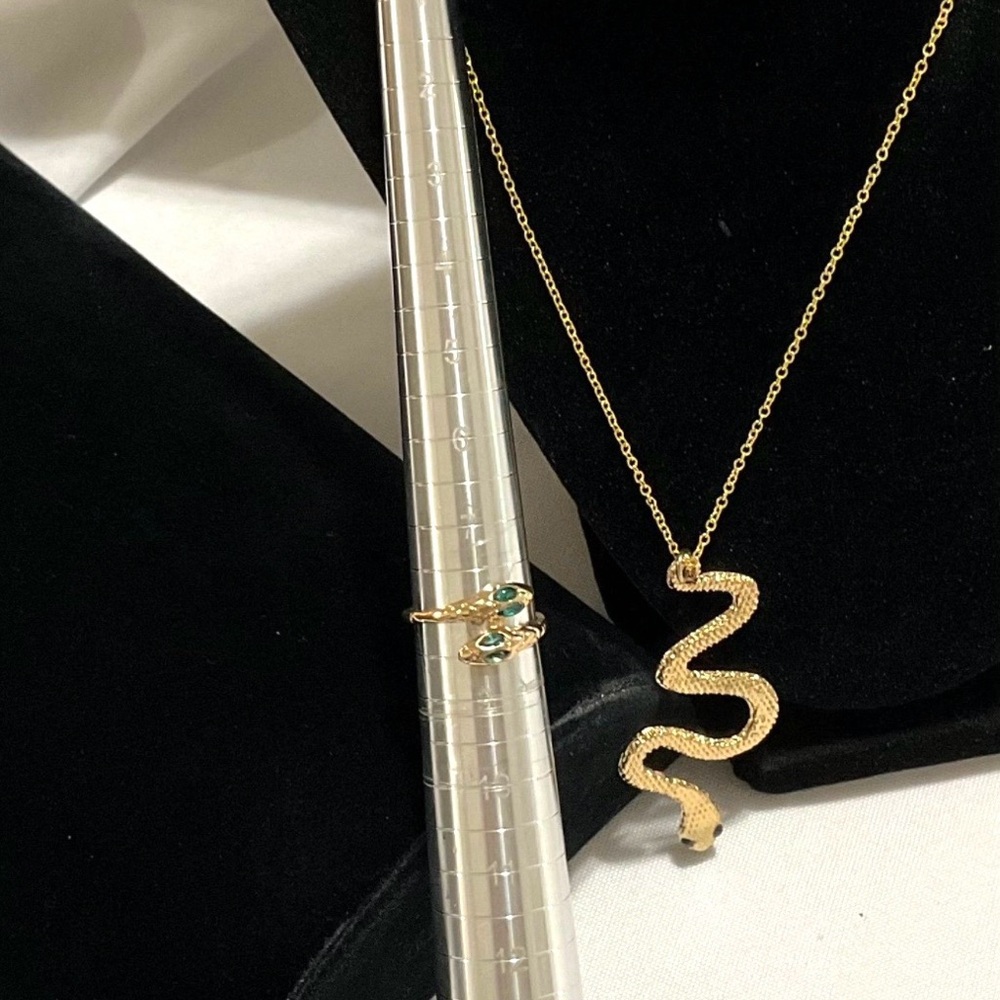 Snake Necklace & Snake Ring - Picture 5 of 11